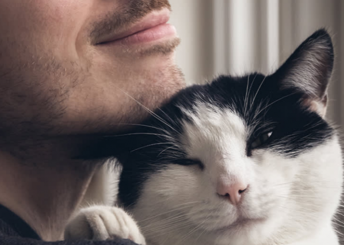 Kucing Bisa Menganggap Kita Kekasih Mereka? Simak 4 Ciri Kucing yang Cinta Pada Pemiliknya Berikut ini