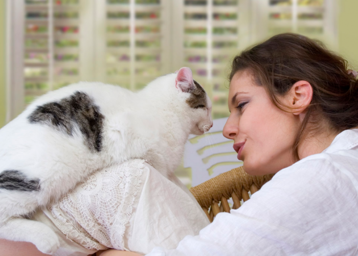 3 Cara Berkomunikasi dengan Kucing yang Bisa Kamu Terapkan Dengan Mudah!
