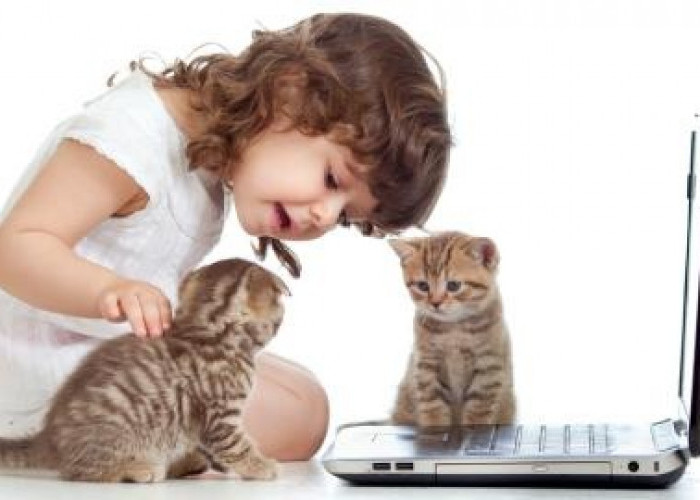 Majikan Sayang dengan Kucing Peliharaan akan Diberi Ucapan Kasih Sayang oleh Anabul, Inilah 4 Cirinya