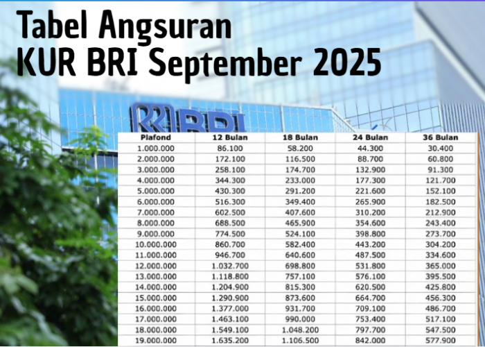 Simulasi dan Tabel Angsuran KUR BRI September 2025 untuk Plafon Rp35 Juta, Cicilan Perbulan Gak Sampai 1 Juta