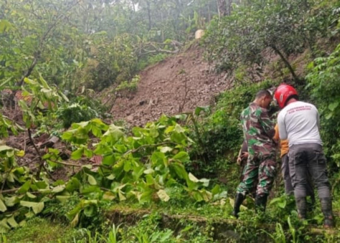 Diguyur Hujan Deras, Tebing Jalan Usaha Tani di Desa Singkup Ambrol Diterjang Longsor