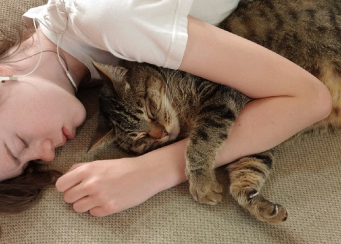 Sering Disepelekan! Ini 6 Manfaat Tidur di Kasur dengan Kucing, yang Punya Banyak Manfaat Kesehatan