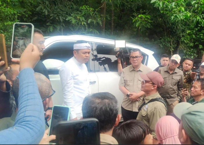 Digaji Rp1,5 Juta Disuruh Rawat Pohon, Solusi KDM Kepada Penambang Liar di Kawasan TNGC