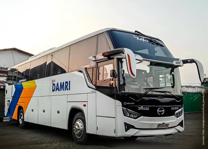 Jadwal Bus DAMRI Hari Ini Rute Bandung: Kertajati dan Kuningan, Kamis 2 Mei 2024