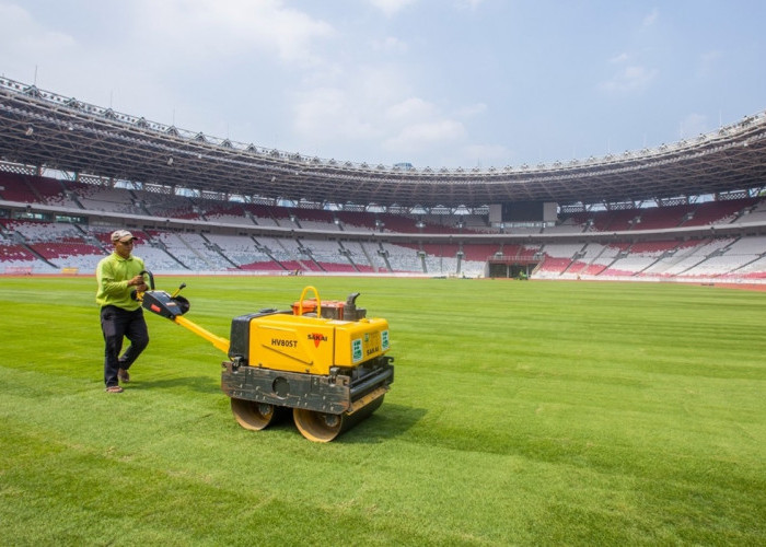 Jelang Pertandingan Indonesia vs Australia, Begini Kondisi dan Situasi Rumput Stadion Utama Gelora Bung Karno