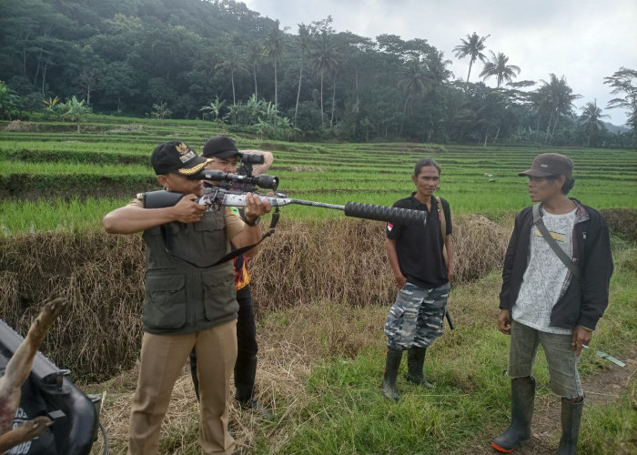 Perbakin Kuningan Kirim Penembak Jitu ke Desa Cengal, Buru Anjing Liar Pemangsa Puluhan Ekor Kambing