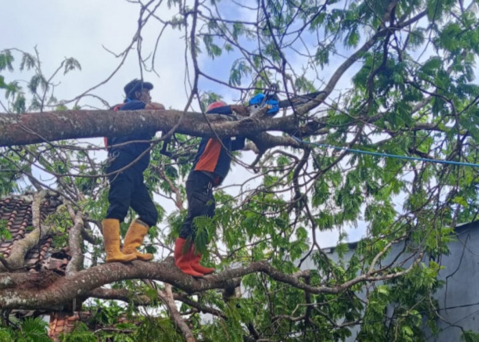 BPBD Kuningan Peringatkan Cuaca Ekstrem, Waspada Hujan Lebat dan Angin Kencang