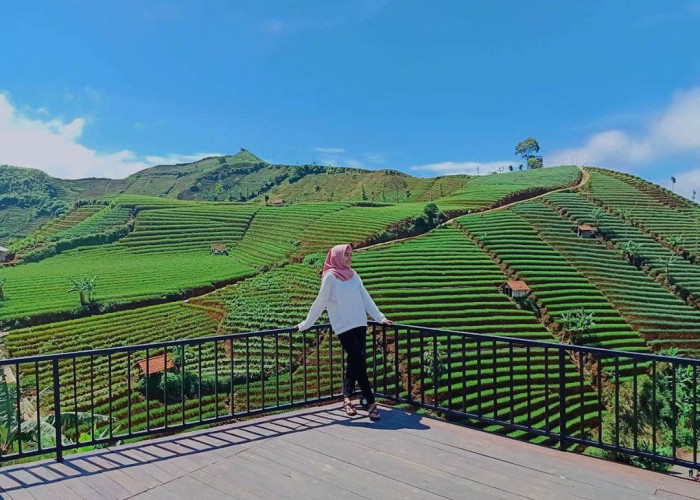 5 Tempat Wisata di Majalengka yang Hits dan Viral, Cocok Banget Buat Healing! 