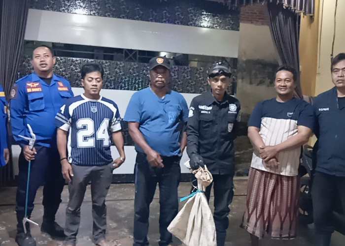 Heboh Tengah Malam, Anak Ular Sanca Masuk Dapur Rumah Warga Sampora Cilimus