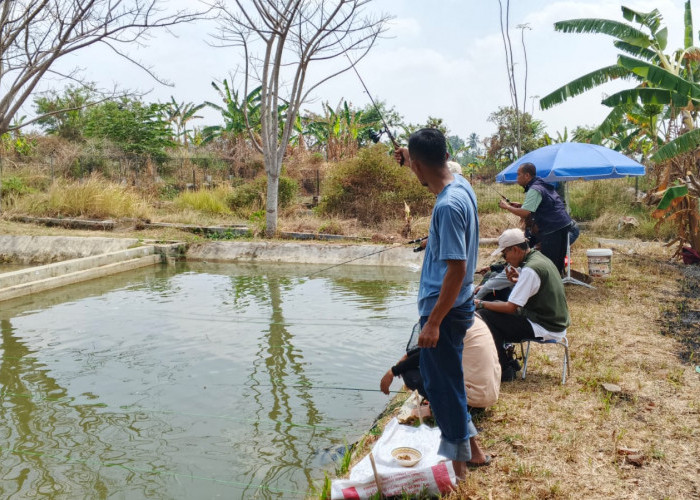Hari Jadi Kuningan ke-528, UPTD Perikanan Gelar Mancing Bersama