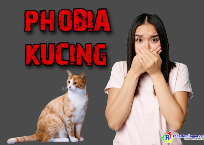 Takut Kucing? Bisa Jadi Kamu Mengalami Ailurophobia, Yuk Simak Gejala dan Cara Mengatasi Fobia Kucing Berikut!