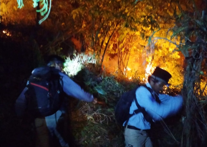 Pemadaman Kebakaran Hutan Taman Nasional Gunung Ciremai, Medan Tempur Bagi AKAR dan Relawan Pecinta Lingkungan