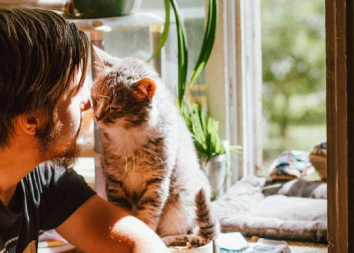 Apa Kucing Mengenali Kita Sebagai Pemiliknya? 5 Cara Kucing Mengenali Pemiliknya, Bisa Nurut Saat Dipanggil