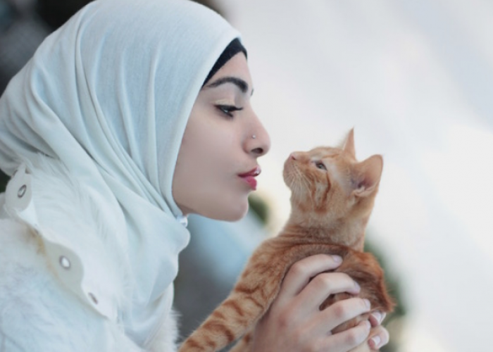 Menurut Islam Memelihara Kucing Bisa Masuk Neraka? Simak Penjelasannya agar Tidak Salah