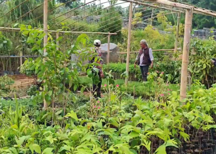 Fakta Mengejutkan! Penampakan Lahan Sekitar Arunika dari Tampilan Citra Satelit 2015-2025