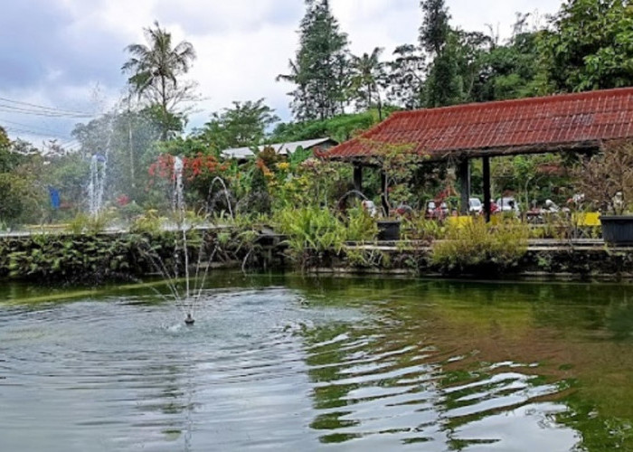 Bisa Melancarkan Aliran Darah, Berikut ini 3 Rekomendasi Kolam Terapi Ikan di Kuningan yang Paling Populer