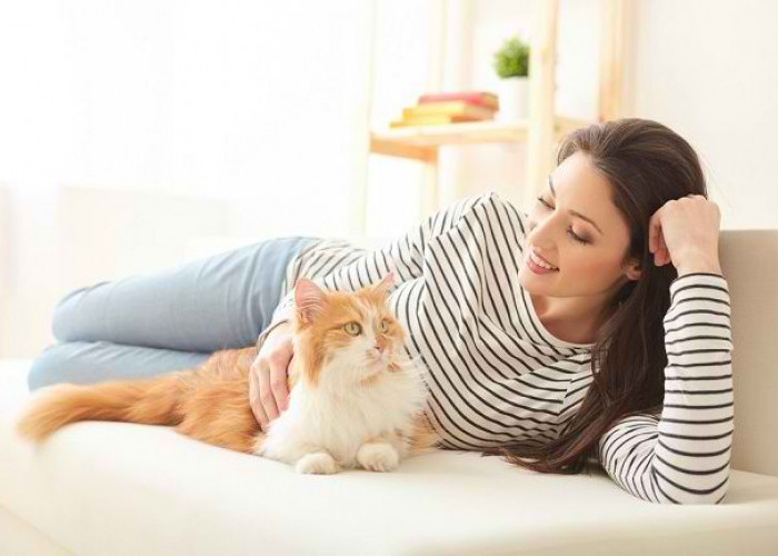 Sering Dianggap Remeh, Inilah 4 Bahaya Bulu Kucing Bagi Kesehatan Wanita, yang Perlu Diwaspadai! 