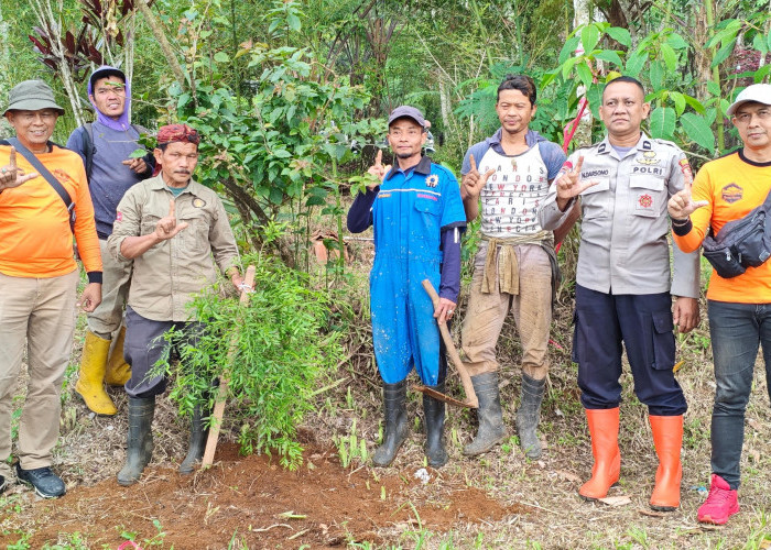 KTH Silihwangi Majakuning Pulihkan Lereng Gunung, Jaga Mata Air, dan Anti Pembalakan Liar