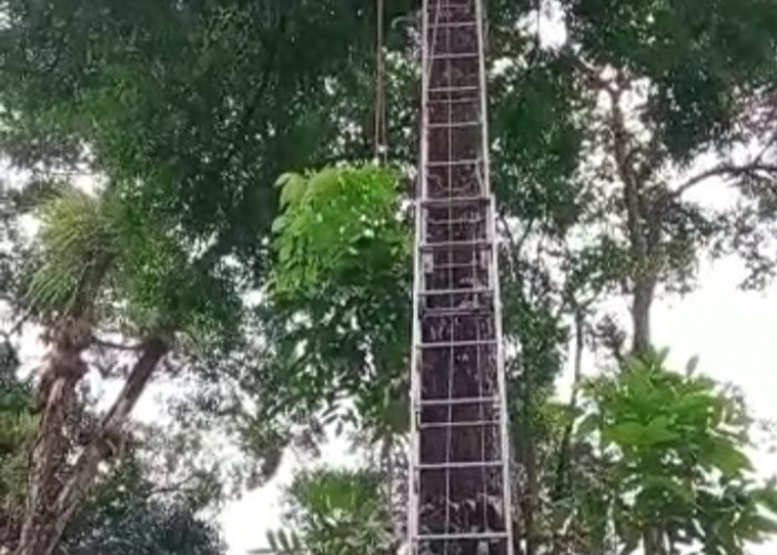 Nyangkut di Puncak Pohon, Petugas Damkar Evakuasi Drone Seharga 25 Juta