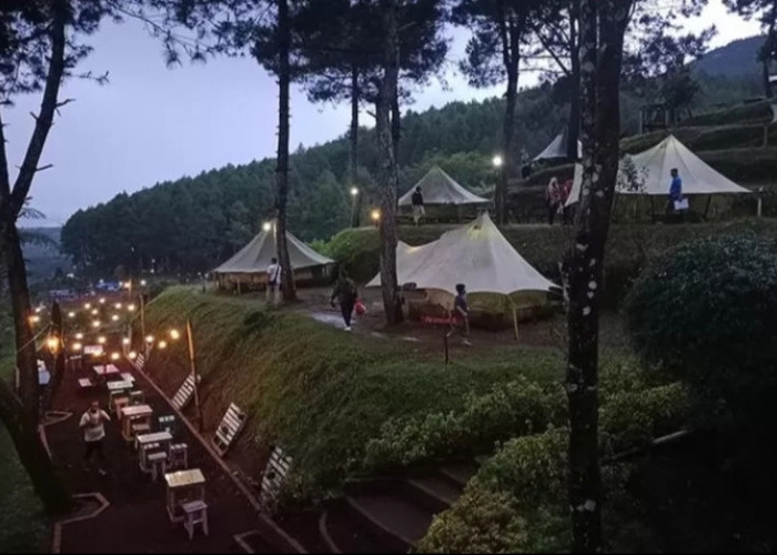 5 Tempat Glamping Favorit di Kuningan, Syahdunya Bermalam Di Kaki Gunung Ciremai 