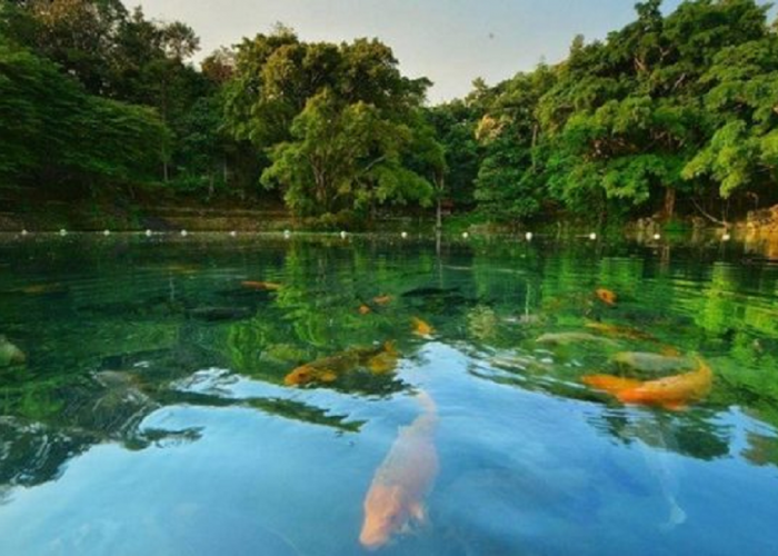 Wisata Hits Kuningan Ini Punya Air Sejernih Kristal! Yuk, Kunjungi Telaga Biru Cicerem Di Kabupaten Kuningan