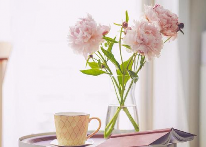Tak Hanya Visual Cantik, Ini 5 Jenis Bunga yang Melambangkan Kesuksesan, Cocok untuk Motivasi di Ruang Kerja 