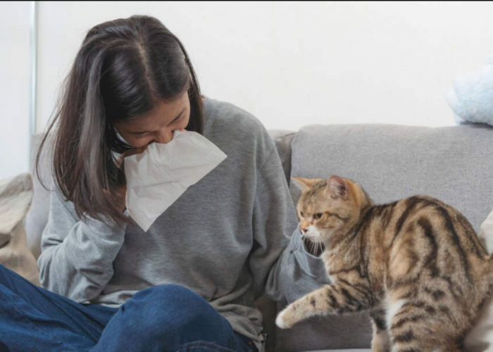 Berikut 4 Tips Memelihara Kucing walau Alergi Kucing, Catlovers Pengidap Alergi Anabul Full Senyum