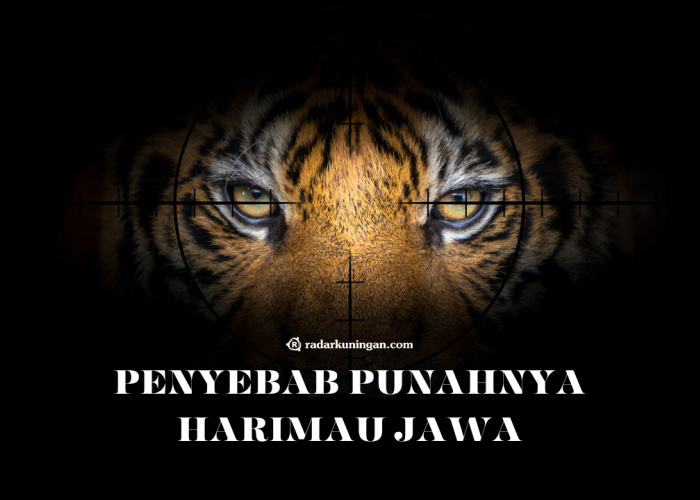 Harimau Jawa Punah Karena Apa? Inilah Penyebab Kepunahan yang Terjadi Pada Kucing Besar Asli Pulau Jawa