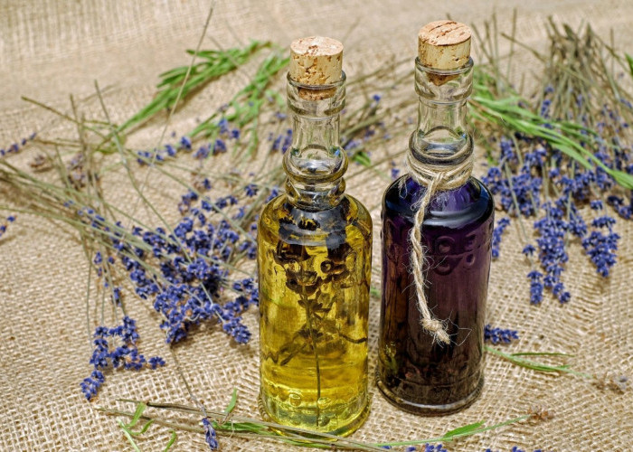 6 Jenis Tanaman Aromaterapi yang Wajib Kamu Miliki di Rumah, Bisa untuk Pengobatan Tradisional