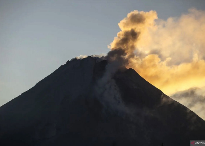 Gunung Merapi Mengeluarkan Guguran Lava 13 Kali, Suaranya Terdengar dari Pos Babadan 