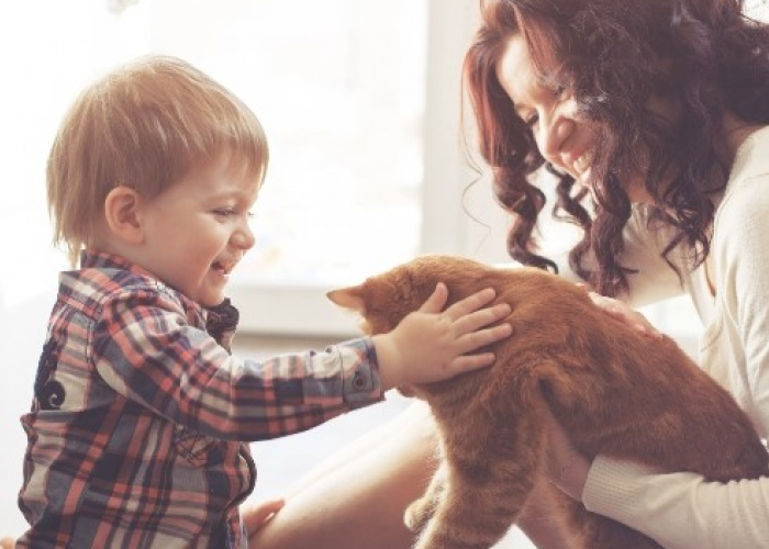 4 Manfaat Memelihara Kucing di Rumah untuk Anak, Apakah Bagus?