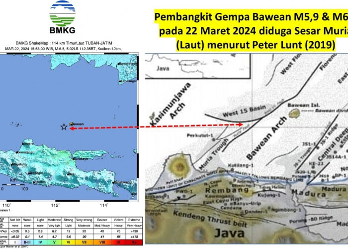 Gempa Bawean Diduga Sesar Muria, Tanda Patahan Tua Pulau Jawa Masih Aktif? 