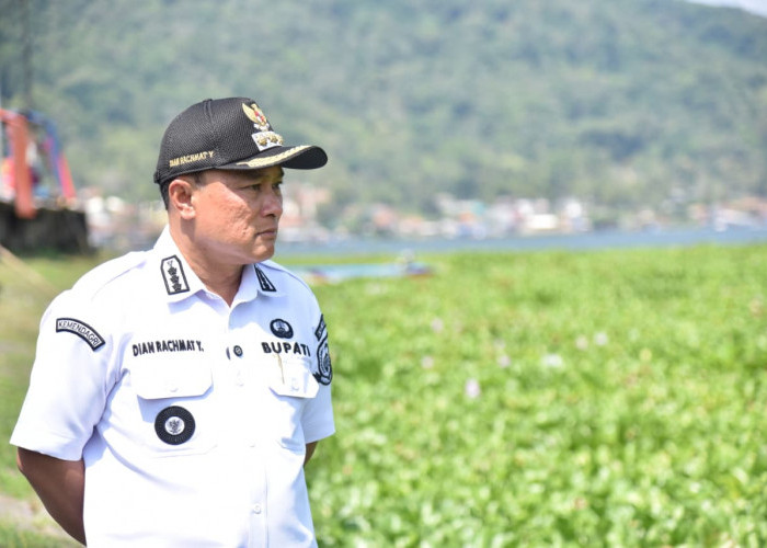 Waduk Darma Dipenuhi Eceng Gondok, Tutupi Permukaan Air Seluas 6 Hektare