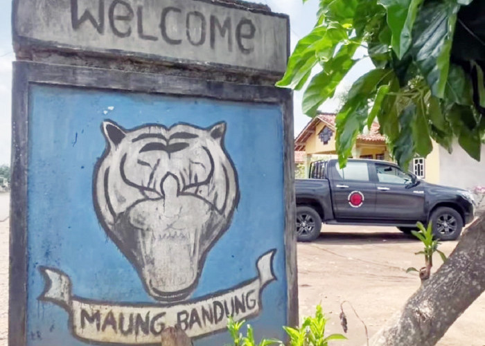 Desa Sinar Bandung, Kampung Halaman Kedua Warga Bandung, Meski di Lampung Tetap Persib nu Abah