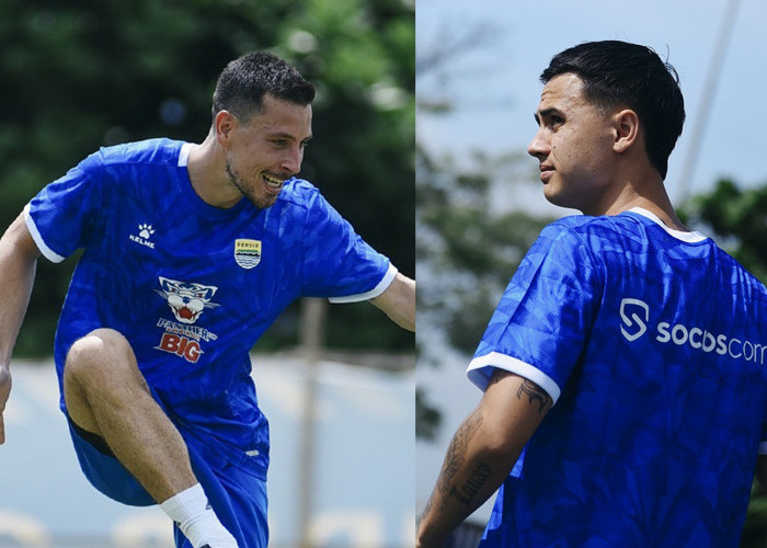 Ini Posisi Eliano Reijnders dan Thom Haye di Persib Bandung