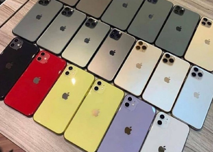 Turun Hingga 50 Persen Berikut Daftar iPhone Resmi Ibox yang Turun di Tahun 2024
