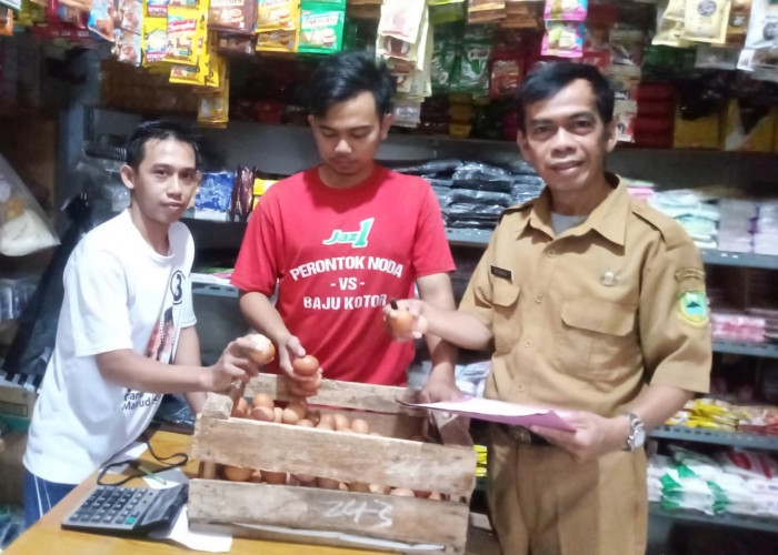 Pekan Terakhir Libur Sekolah dan MBG, Harga Ayam dan Telur Turun, Ketimun Melejit