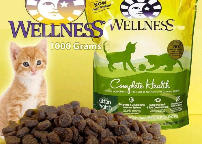 3 Merk Makanan Kucing Murah Bisa Membuat Bulu Kucing Menjadi Lebat dan Kuat