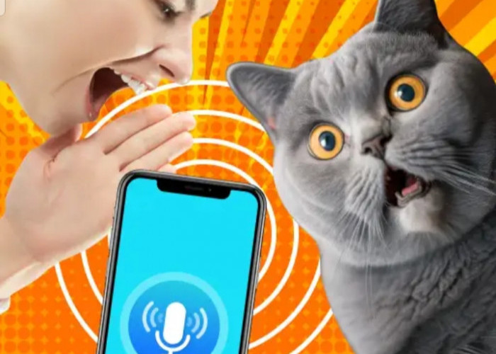 Gunakan 4 Aplikasi Berbicara Dengan Kucing Ini, Canggih Bisa Terjemahkan Suara Kucing