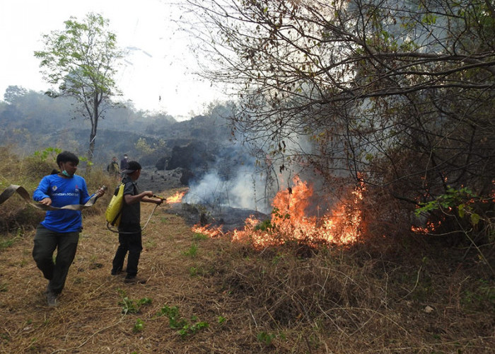 Kebakaran di Gunung Ciremai Meluas, Api di Blok Kupak Disinyalir Ada Unsur Kesengajaan 