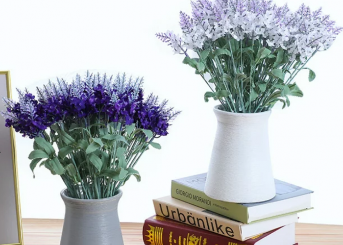 Jarang Diketahui, 7 Manfaat Menanam Tanaman Hias Lavender di Kamar Tidur, Cegah Kecoak Masuk!