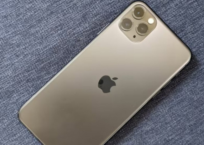 Apakah iPhone 11 Sudah Tidak Layak Pakai di 2024? Enggak Juga Kok, Berikut Alasannya!