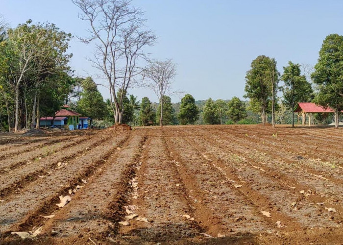 KEREN, Masuk Nominasi Desa Brilian di Indonesia, Desa Cikaso Kuningan Kembangkan Buper dan Agrowisata
