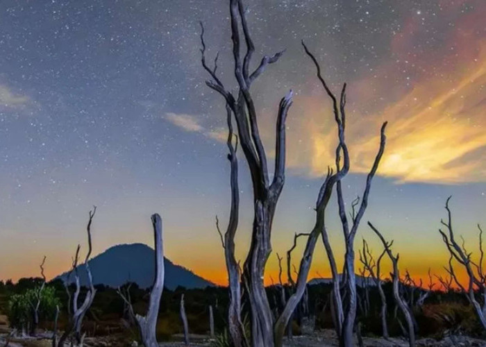 Wisatawan Bisa Apa Saja di Gunung Papandayan Garut? Ini 3 Tempat Wisata Favorit