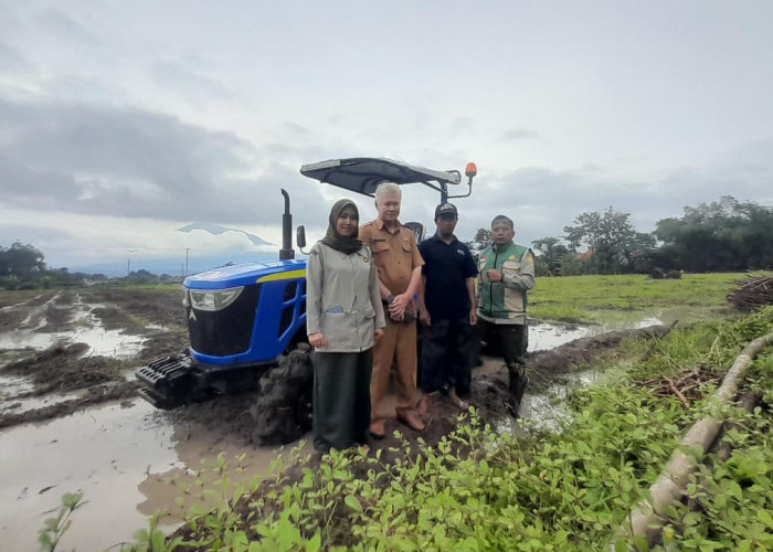 Traktor Roda Empat Mulai Diterapkan di Pertanian Cirebon, Ini Keunggulannya