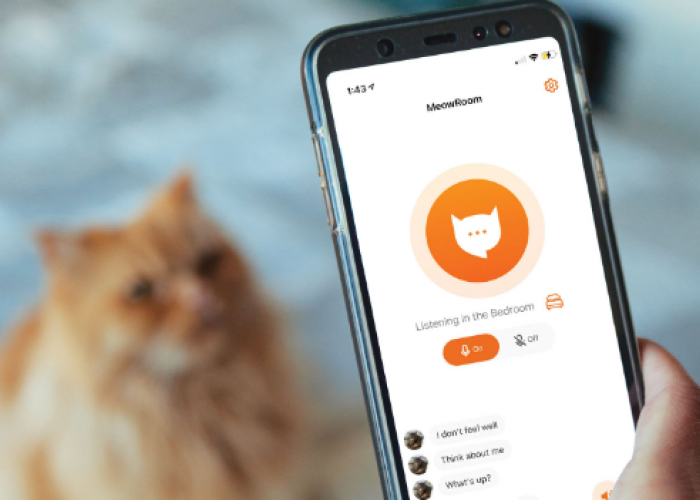 Bisa Pakai Aplikasi! Cara Pakai Aplikasi Untuk Berbicara dengan Kucing