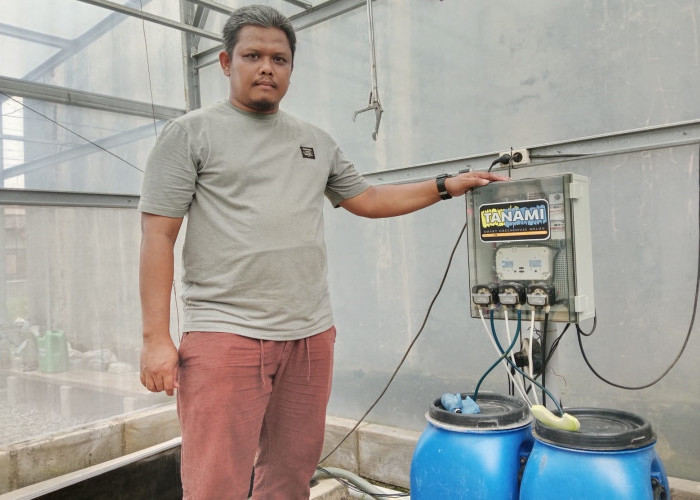 Petani Desa Kaplongan Budidaya Melon Gunakan Internet, Begini Cara Kerjanya