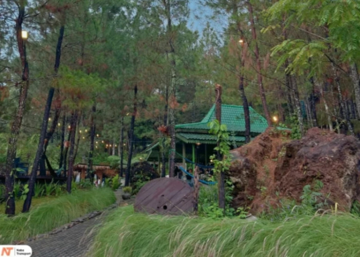 7 Rekomendasi Wisata Viral di Kuningan Jawa Barat, Cocok Dikunjungi Saat Liburan Akhir Pekan