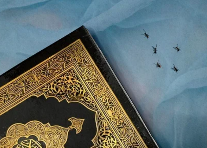 Haram Dibasmi! Ini Bacaan Doa Mengusir Semut dari Rumah Warisan Nabi Sulaiman AS