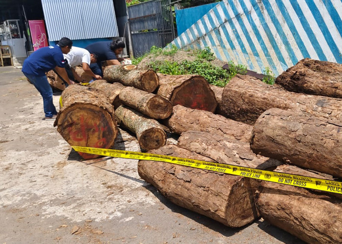 KDM: Pengawasan di Hutan Gunung Ciremai Dinilai Lemah